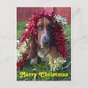 Vrolijke Kerstmis Basset Hound van het briefkaart