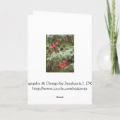 Vrolijke Kerstmis Feestdagen Kaart (Achterkant)