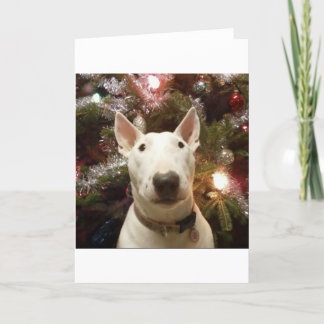 vrolijke Kerstmis Feestdagen Kaart