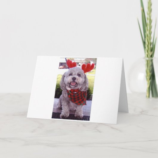 Vrolijke Kerstmis Feestdagen Kaart (Voorkant)