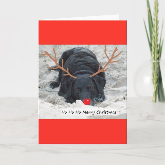 Vrolijke Kerstmis Feestdagen Kaart (Voorkant)