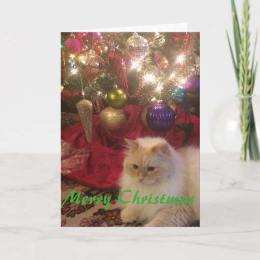 Vrolijke Kerstmis Feestdagen Kaart (Voorkant)