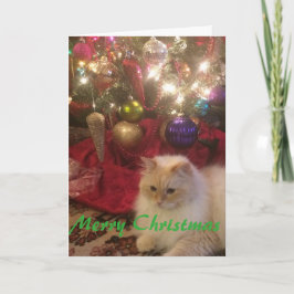 Vrolijke Kerstmis Feestdagen Kaart