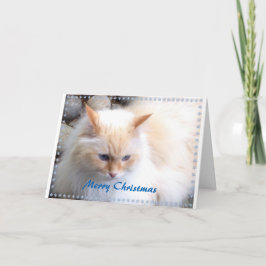 Vrolijke Kerstmis Feestdagen Kaart