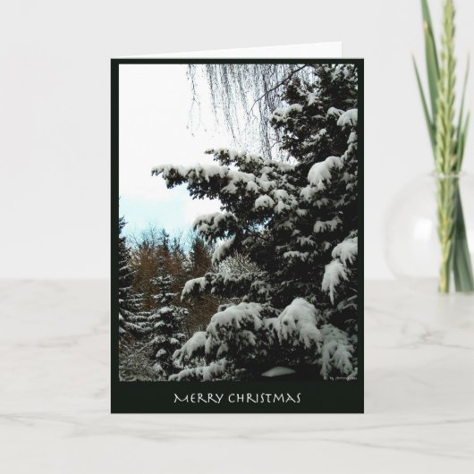 Vrolijke Kerstmis Feestdagen Kaart (Voorkant)