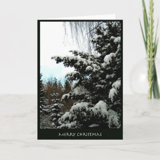 Vrolijke Kerstmis Feestdagen Kaart