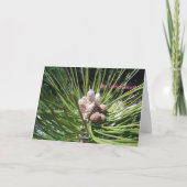 Vrolijke Kerstmis… Feestdagen Kaart (Achterkant)