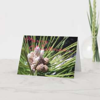 Vrolijke Kerstmis… Feestdagen Kaart