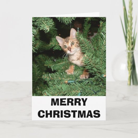 VROLIJKE KERSTMIS FEESTDAGEN KAART (Voorkant)