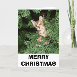 VROLIJKE KERSTMIS FEESTDAGEN KAART