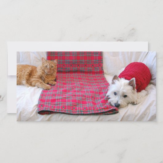 Vrolijke Kerstmis Feestdagenkaart (Voorkant)