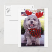 Vrolijke Kerstmis Feestdagenkaart (Voorkant / Achterkant)