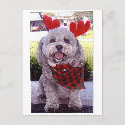 Vrolijke Kerstmis Feestdagenkaart (Voorkant)