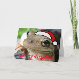 Vrolijke Kerstmis Froggy Feestdagen Kaart