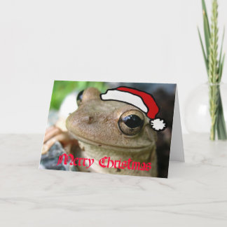 Vrolijke Kerstmis Froggy Feestdagen Kaart