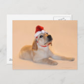 Vrolijke Kerstmis - Geel Laboratorium Feestdagenkaart (Voorkant / Achterkant)