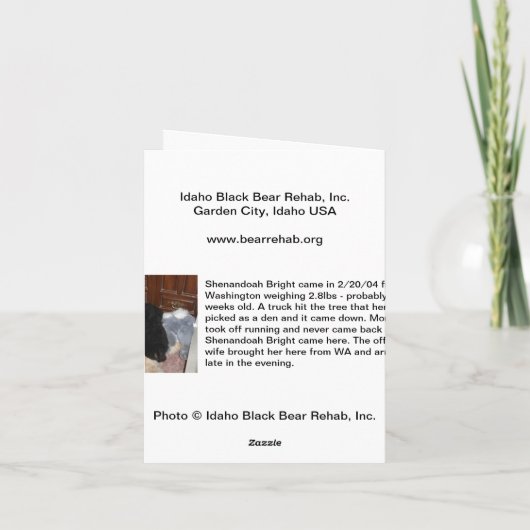 Vrolijke Kerstmis - Heldere Shenandoah Feestdagen Kaart (Achterkant)