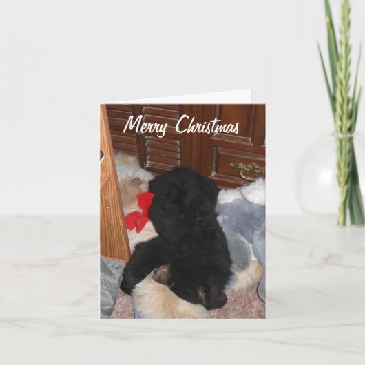 Vrolijke Kerstmis - Heldere Shenandoah Feestdagen Kaart (Voorkant)