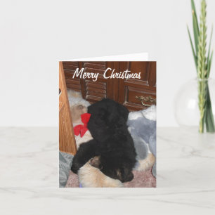 Vrolijke Kerstmis - Heldere Shenandoah Feestdagen Kaart