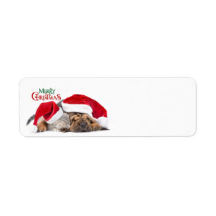 Vrolijke Kerstmis kat en hond Etiket
