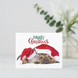 Vrolijke Kerstmis kat en hond Feestdagenkaart