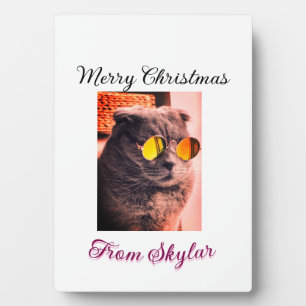 Vrolijke Kerstmis kat hond huisdier liefde foto Fotoplaat