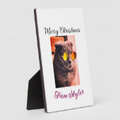 Vrolijke Kerstmis kat hond huisdier liefde foto Fotoplaat (Zijkant)