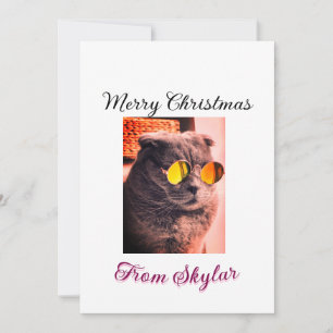 Vrolijke Kerstmis kat hond huisdier liefde foto Kaart
