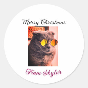 Vrolijke Kerstmis kat hond huisdier liefde foto Ronde Sticker