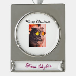 Vrolijke Kerstmis kat hond huisdier liefde foto Verzilverd Banner Ornament