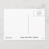 Vrolijke Kerstmis! Komeet Kohoutek Feestdagenkaart (Achterkant)