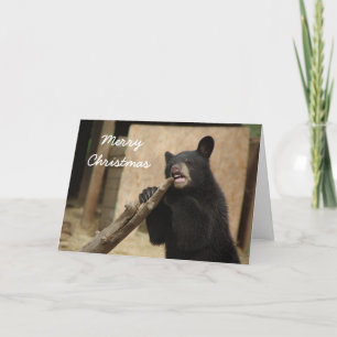 Vrolijke Kerstmis - Lanikai Feestdagen Kaart