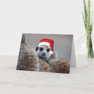 Vrolijke Kerstmis Meerkat - groeten 2 van Feestdagen Kaart