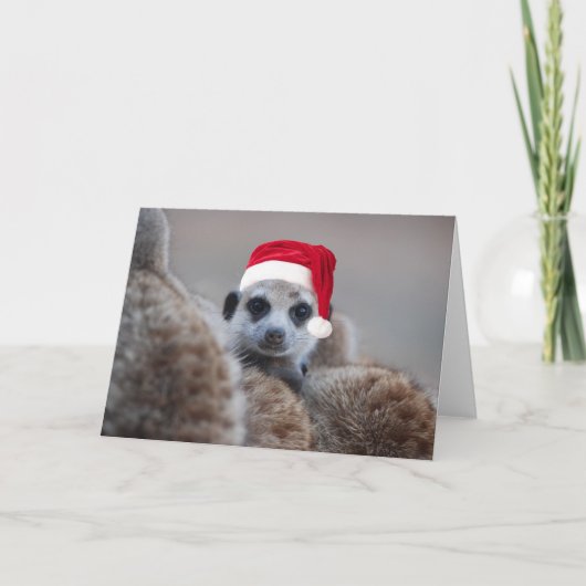 Vrolijke Kerstmis Meerkat - groeten 2 van Feestdagen Kaart (Voorkant)