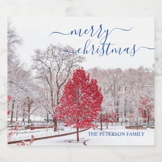 Vrolijke Kerstmis Mousserende Wijn Flesetiketten Sparkling Wijnetiket (Enkel label)