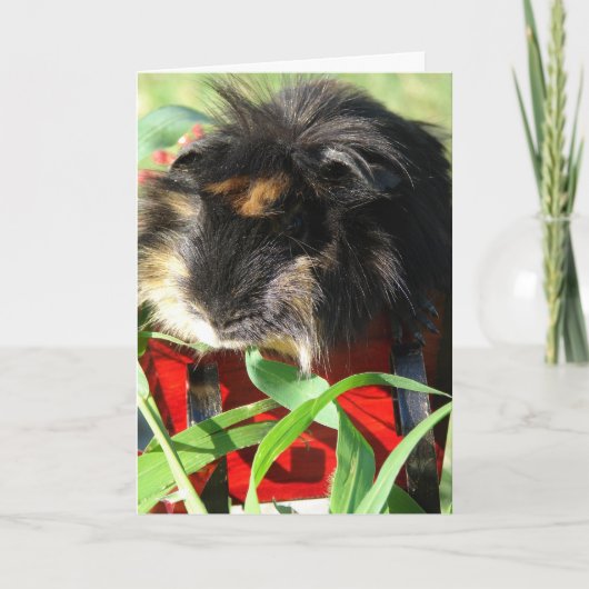 Vrolijke Kerstmis!  Proefkonijn Feestdagen Kaart (Voorkant)