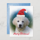 Vrolijke Kerstmis! puppy van het Golden retriever Feestdagenkaart (Voorkant / Achterkant)