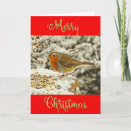 Vrolijke Kerstmis Robin in de Foto van de Sneeuw Feestdagen Kaart