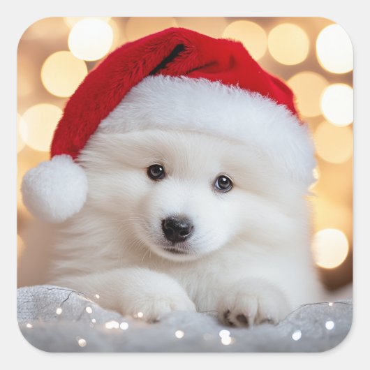 Vrolijke Kerstmis Samoyed Puppy Hond met Santa Hat Vierkante Sticker (Voorkant)