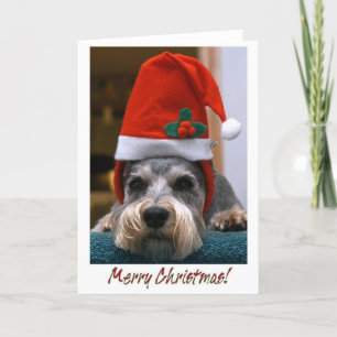 Vrolijke Kerstmis Schnauzer Feestdagen Kaart