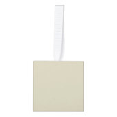 Vrolijke Kerstmis Stethoscoop CNA Medisch Medewerk Decoratie (Voorkant)