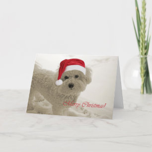 Vrolijke Kerstmis van Bichon Feestdagen Kaart