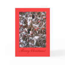 Vrolijke Kerstmis van de bes