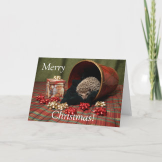 Vrolijke Kerstmis van de egel Feestdagen Kaart