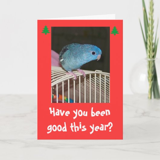 Vrolijke Kerstmis van de Kaart van Poopy van het (Voorkant)