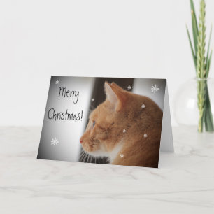 Vrolijke Kerstmis van de Kat van het kat Feestdagen Kaart