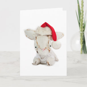 Vrolijke Kerstmis van het Konijn Feestdagen Kaart