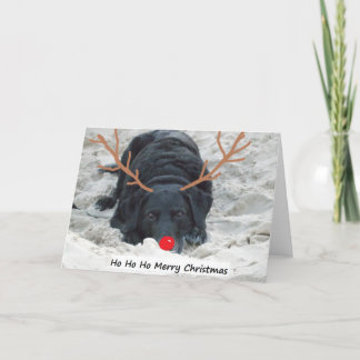 Vrolijke Kerstmis van Ho Ho van Ho Feestdagen Kaart