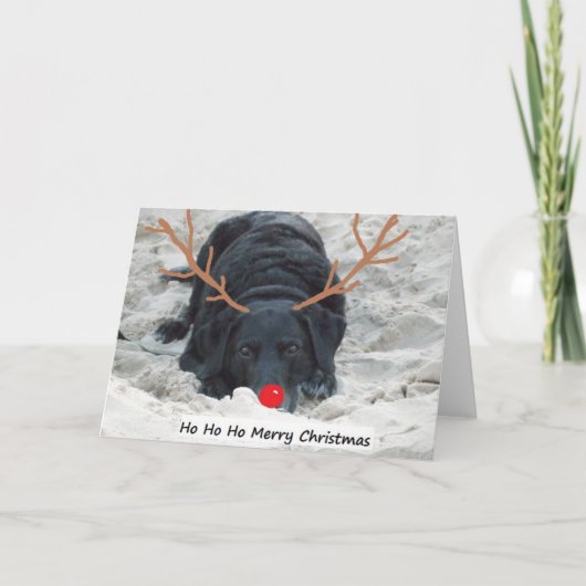 Vrolijke Kerstmis van Ho Ho van Ho Feestdagen Kaart (Voorkant)