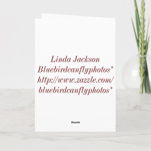 Vrolijke Kerstmis van ons huis aan van u! Feestdagen Kaart (Achterkant)